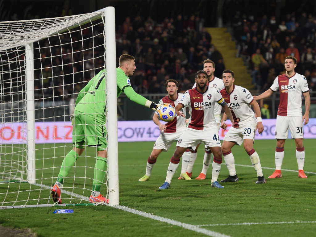 推荐选项以 推荐选项以